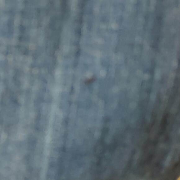 Calvin Klein Denim.Jeans 4 Regular Cut Classic Casual Festival Comfy Bohemian - Picture 7 of 11